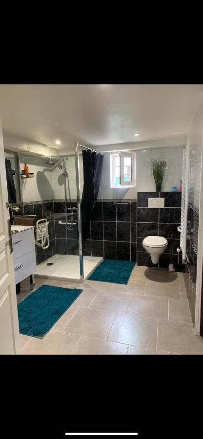 Convivialetzen Apartment Chatenoy-le-Royal Bagian luar foto