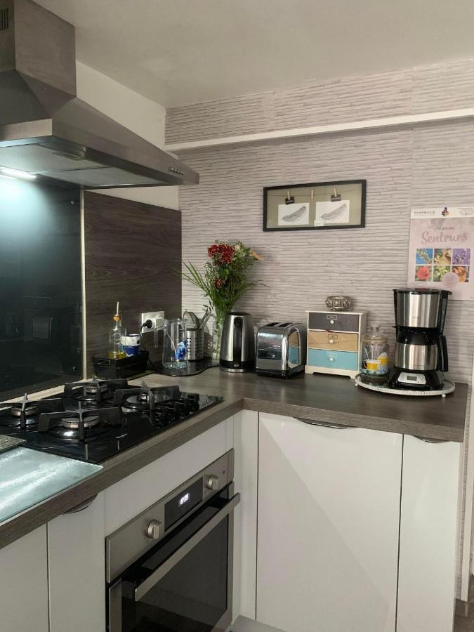 Convivialetzen Apartment Chatenoy-le-Royal Bagian luar foto